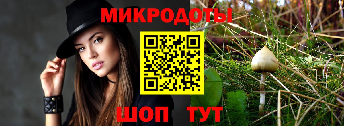 Псилоцибиновые грибы MAGIC MUSHROOMS  Псилоцибиновые грибы MAGIC MUSHROOMS  Вход с VPN  Знаменск 